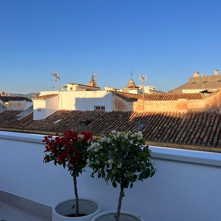Atarazanas Suite, Atico Con Terraza Malaga Exterior photo
